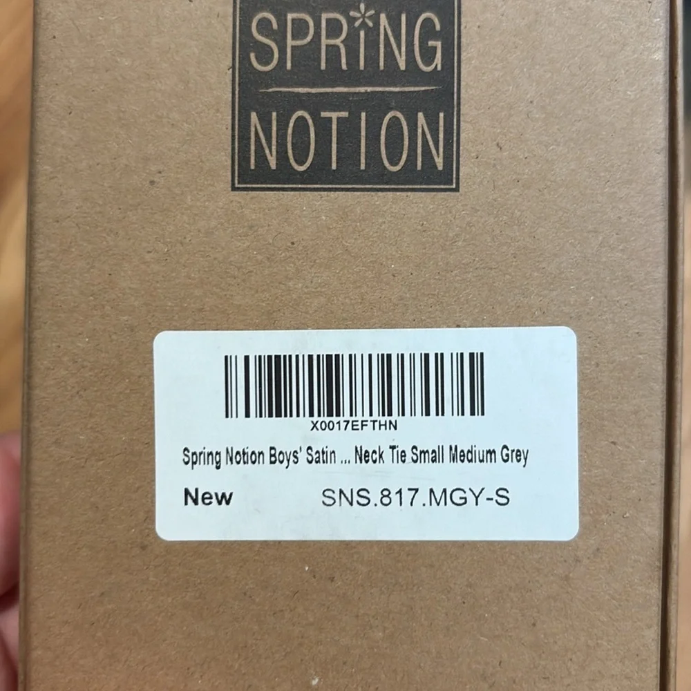 Spring Motion Boy’s gray satin tie